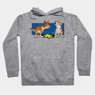 Terrible Thunder Corgis Hoodie